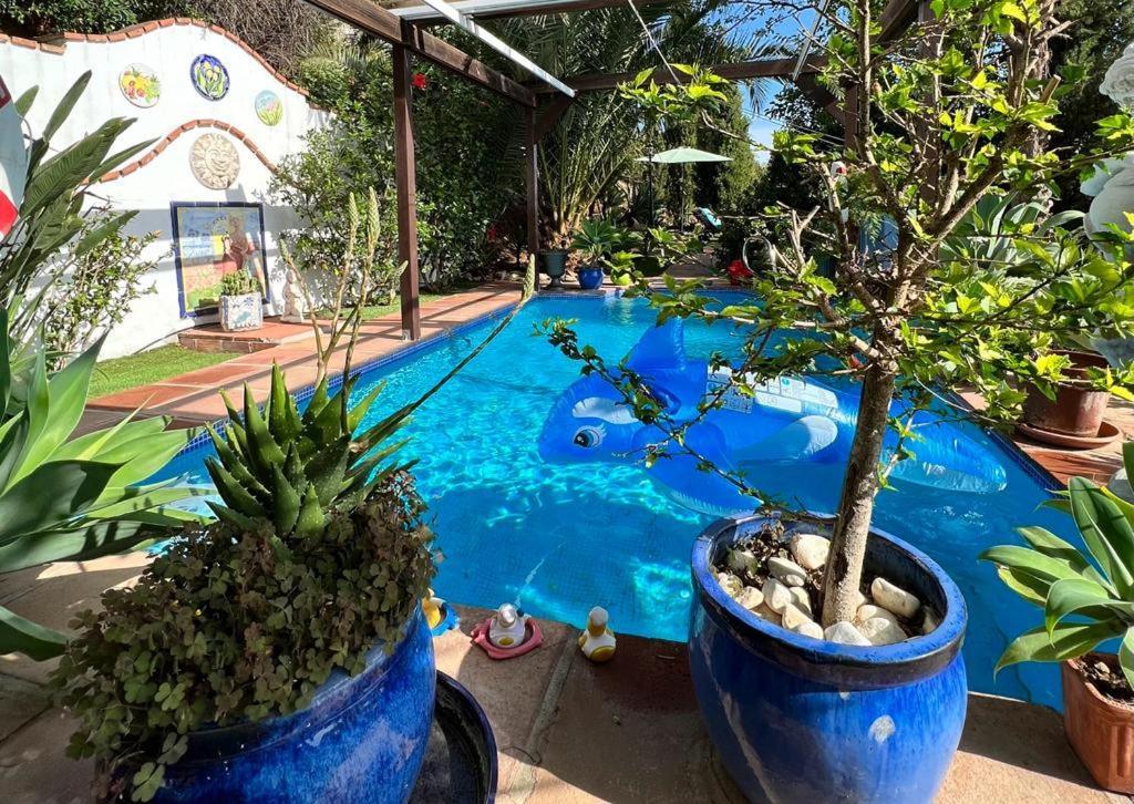 Mijas Pueblo Paradise Villa Málaga Extérieur photo